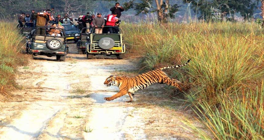 Jeep Safari ,Corbett national park